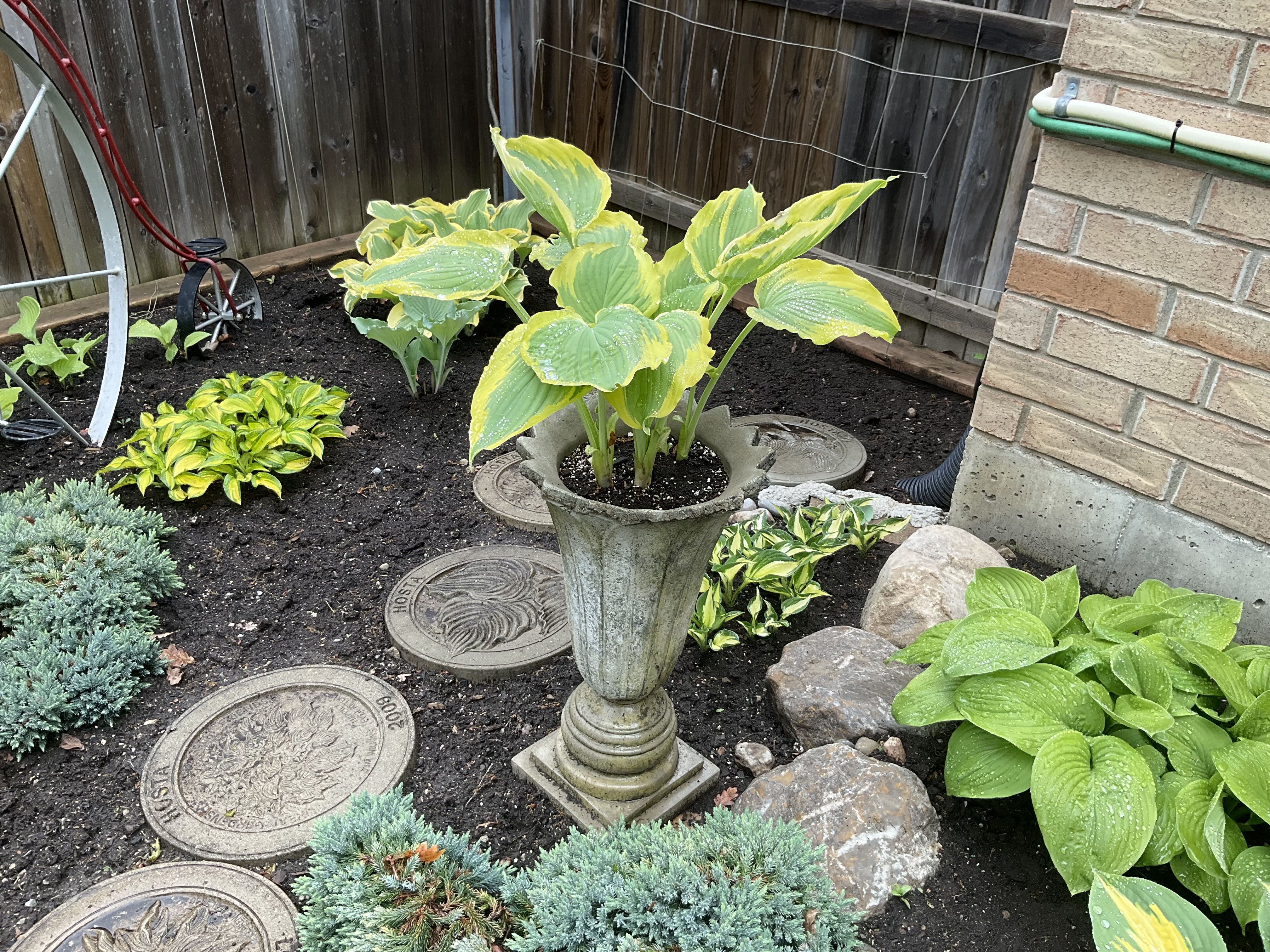 Ontario Hosta Society